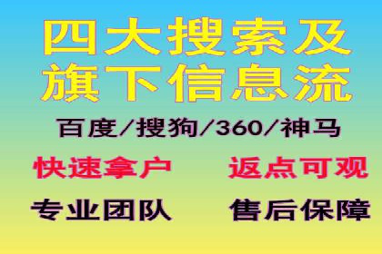 电商SEM推广案例解析